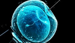 The Future of IVF: The New Normal in Human Reproduction